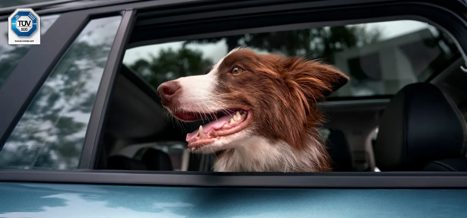 Pet-Friendly Eco-Cockpit